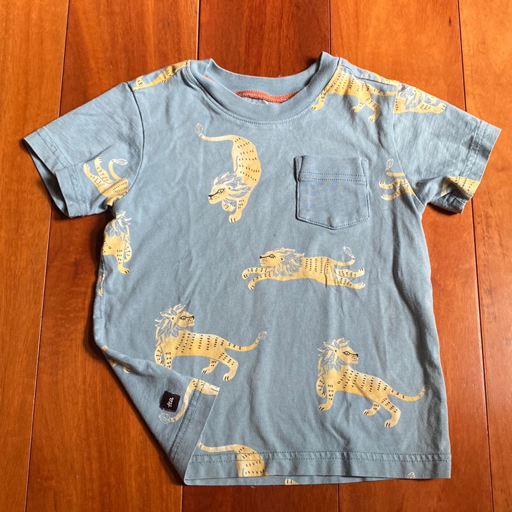 Tea Brand Toddler Tee Shirt, size 4